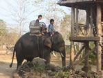 Senior travel in Laos on an elephant.
