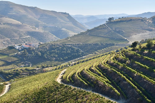 Another view of the Douro Valley river.