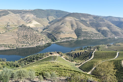 View of the Douro Valley river, Portugal.