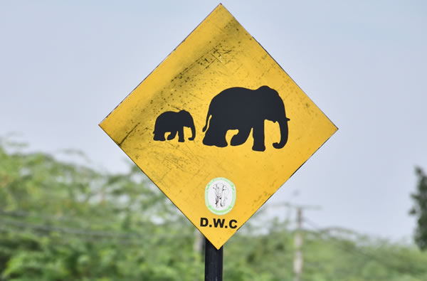 Warning sign along the road in southern Sri Lanka