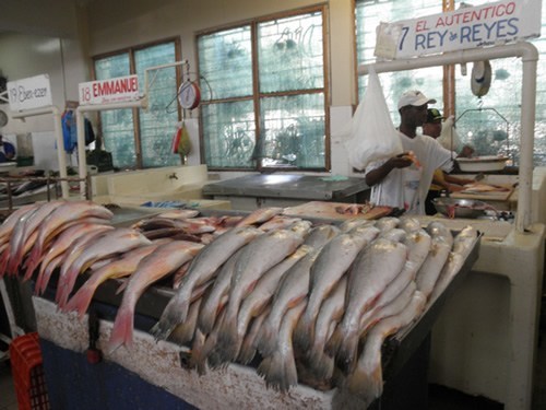 Living in Panama City: Fish Market.