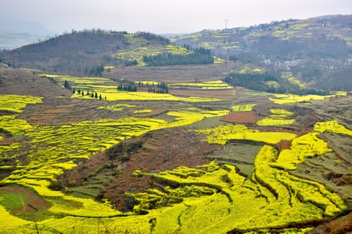 Karst Mountains around Yangshuo in Guizhou Province.