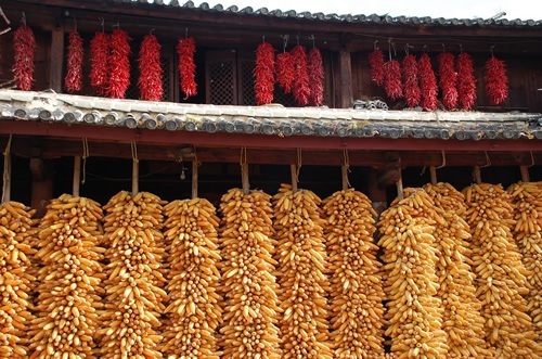 Drying corn and pepper on China trails.