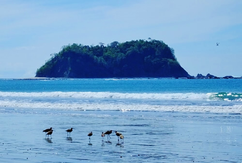 Seeing Isla Chorla from the beach in Costa Rica.