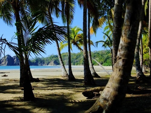 A beache with palm trees in Costa Rica.