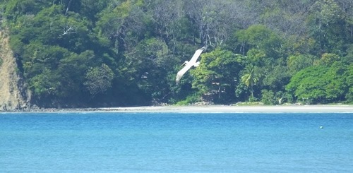 Nicoya Peninsula in Costa Rica.