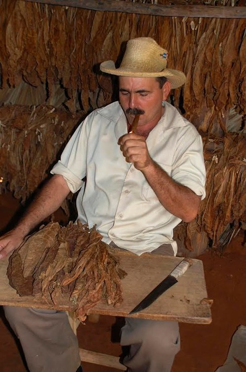 Tobacco farmer in Cuba.