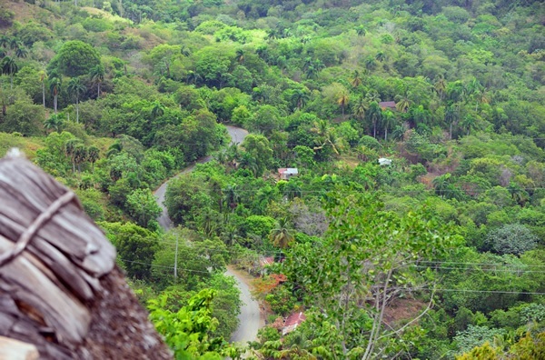 Panoramic road leading to the eco lodge in the Dominican Republic.