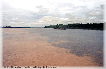 The main branch of the Amazon has a muddy, reddish color.
