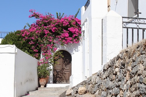 House with bougainvillea in Rhodes.