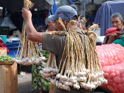 Guatemalan vendor selling garlic.