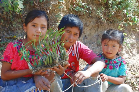 Beautiful Guatemalan children.