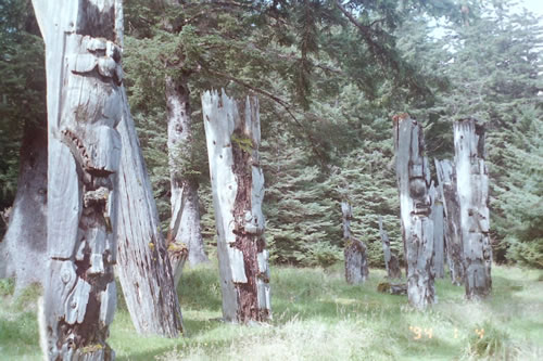 Line of Haida totem poles.