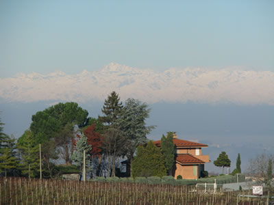 View of house in a vineyard in Piemonte, Italy with the Italian Alps in the background.