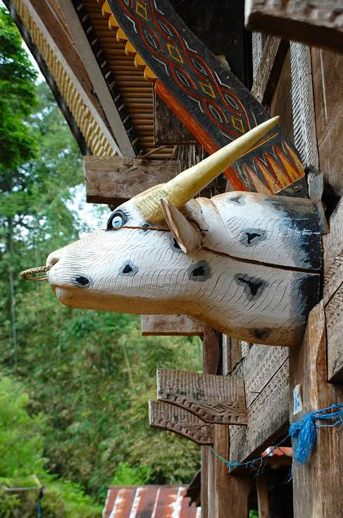Carved head of water buffalo in Sulawesi, Indonesia.