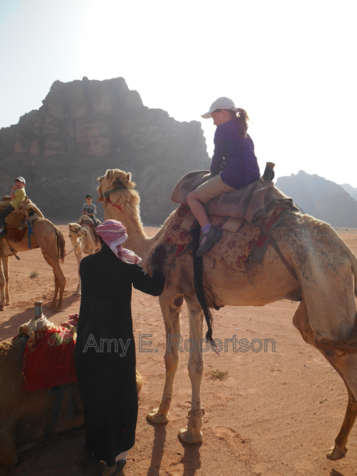 A Bedouin guide prepares a camel caravan in Wadi Rum, Jordan.