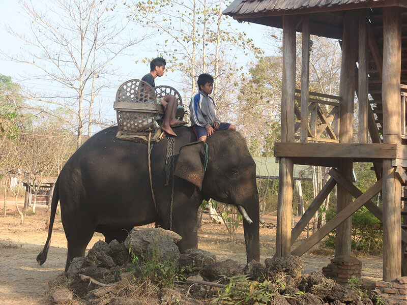 Children riding an elephant in Laos.