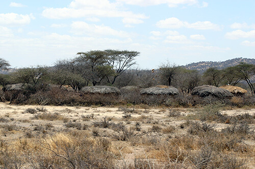 Camouflaged Maasai boma family compounds.