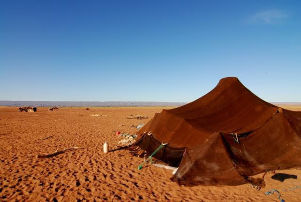 One of the nomadic tents that dot the Sahara desert.