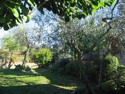 Agriturismo Olivello in Murlo, Tuscany.