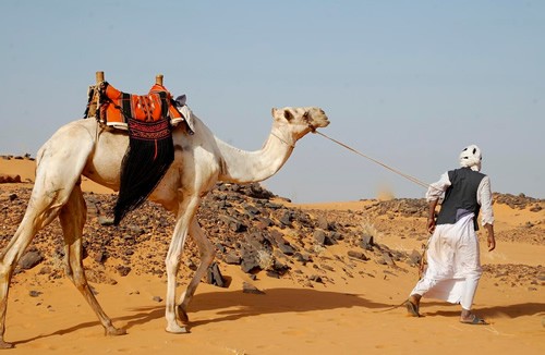 Nomad man with a camel.