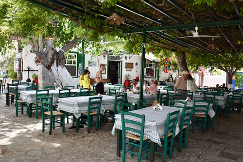 Vine-covered terrace of a restaurant in Hydra.