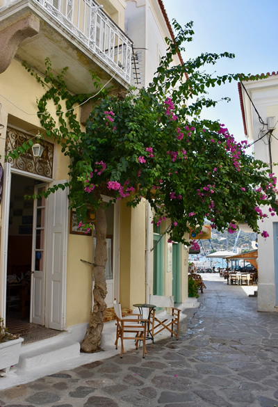 A typical narrow alley in Poros with flowers.