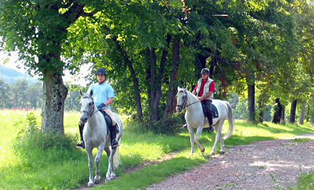 Lipica Horse Stud Farm riding trails.