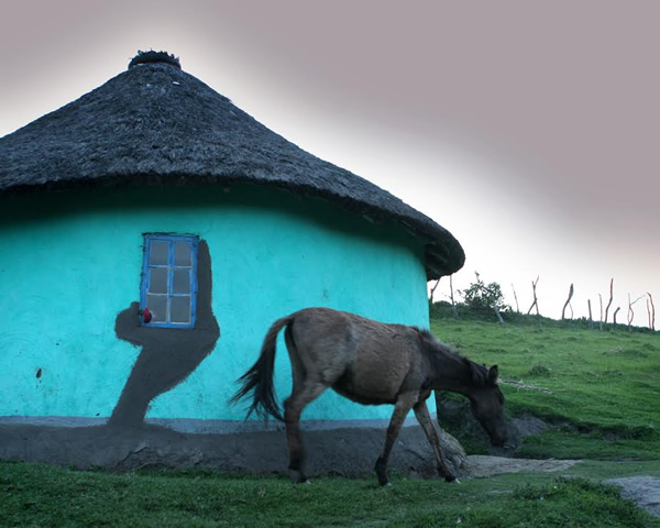Domleu at Xhosa hut in the Eastern Cape countryside, South Africa.