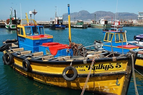 Kalk Bay Harbor with colorful yellow, blue, and red boats.