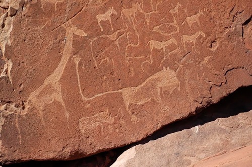 Bushmen rock engravings in Southern Africa.