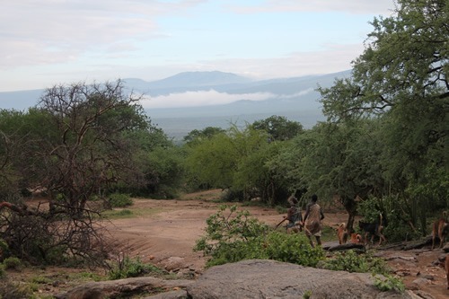 Hadazbe land and Ngorongoro crater.