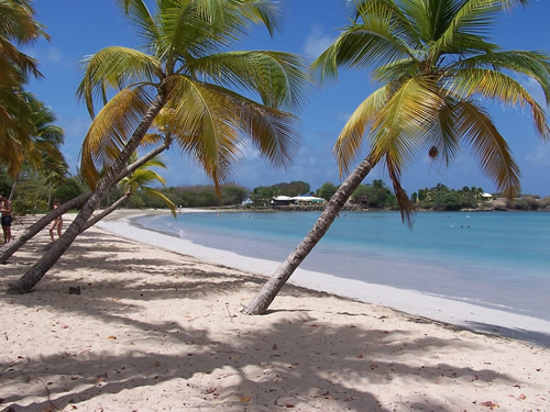 A typical beach in Martinique.