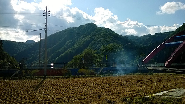 A rice field on fire.