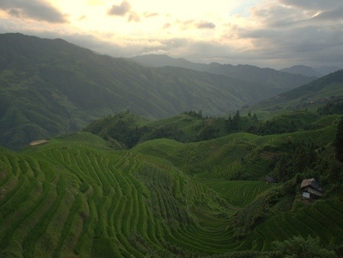 Dragon's Bone rice terraces, China.