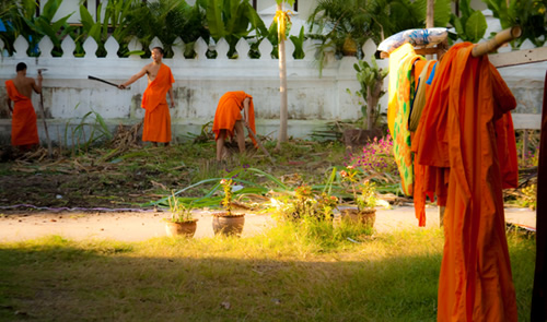 Monks working in a garden.