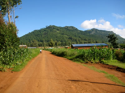 A walk on a dirt road toward hospital in Malawi.