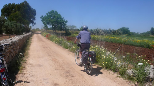 Cycling on the country road amid in olive groves and flowers in Puglia.