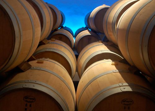 Wine stored in oak barrels in Bordeaux.