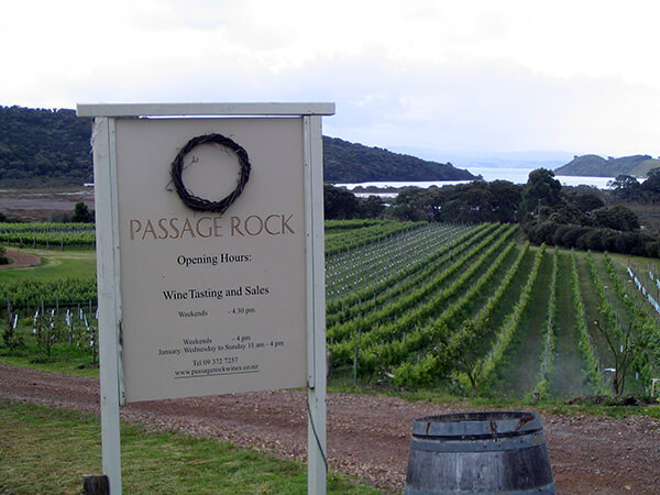 Vineyards on an island in New Zealand.
