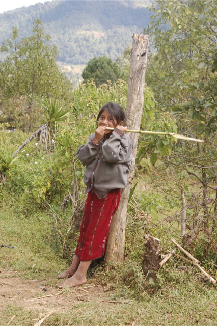 Young female child biting a stick of sugar cane in the woods of Guatemala makes for a beautiful photo subject.