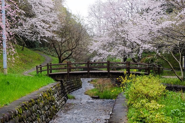 Bridge in Japan as Spring arrives.