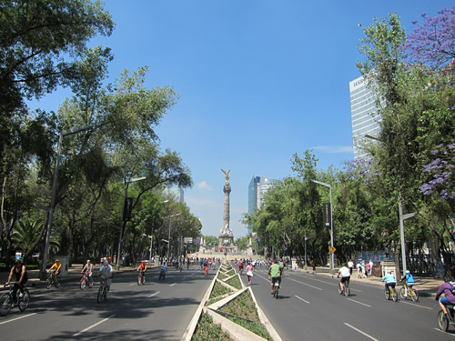 Mexico City park and bikes.