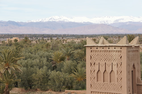 Palm oasia with Atlas Mountains of Morocco in background.