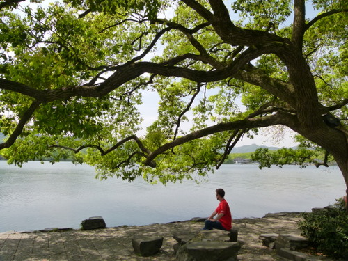 Man relaxing under a huge leaning leafy tree by a lake in China.