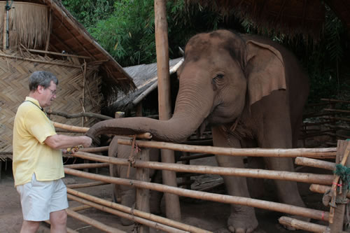 Teacher with 'Dumbo' the elephant
