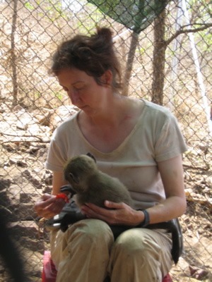 Volunteer care for young baboons.
