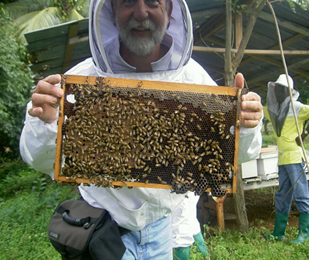 Helping beekeepers reestablish apiaries.