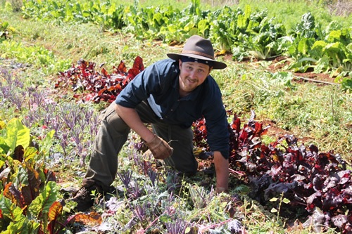 Volunteer abroad organic gardening with WWOOF International