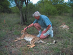 Ecological Safari in Botswana with man petting a tiger cub in the wild.